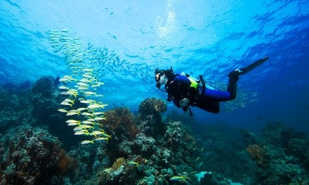 $218 for NAUI Open Water Certification for One at Texas Scuba Adventures ($300 Value)