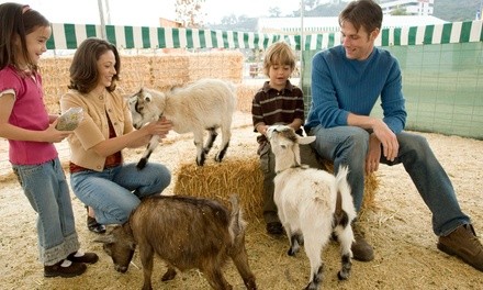 Admission for One at Funny Foot Farms (Up to 25% Off). Two Options Available.