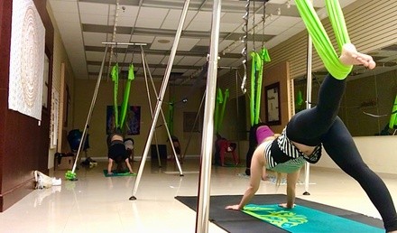 One, Two, or Three Aerial Yoga Classes or Regular Yoga Classes at Scleranthus Aerial Yoga (Up to 56% Off)