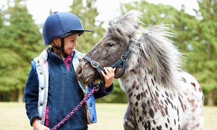 Horseback-Riding Summer Camp for 1 or 2 at Amethyst Performance Horses (Up to 53% Off). 4 Options Available.