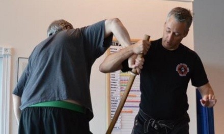 Four Weeks of Unlimited Martial Arts Classes at Bujinkan Bushigokoro Dojo (54% Off)