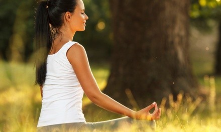 $87.20 for Private Live Online Breath Coaching for Four Weeks from The Migraine Yogini ($149 Value)