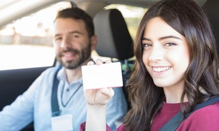 $15 for Online Driver's Ed from BloomTech Driving School ($29.95 Value)