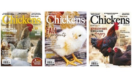 Six-Month or One-Year Subscription to Chickens Magazine