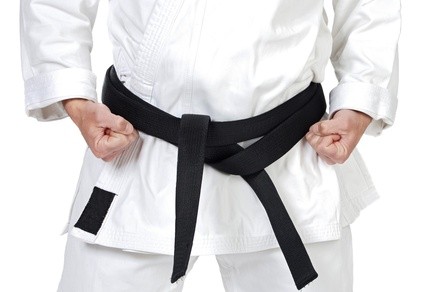 $50 for $199 Worth of Services — Tiger TaeKwonDo