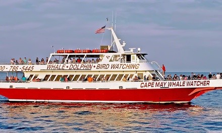 Whale-and Dolphin-Watching Tours at Cape May Whale Watcher (Up to 32% Off). Six Options Available.