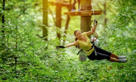 Aerial Park Experience for Two, Four, or Six at The Frankenmuth Aerial Park (Up to 42% Off)