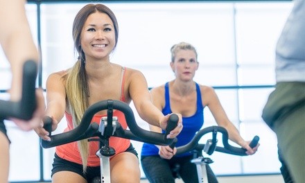 Three or Six Indoor Cycling Classes at Sea Barre Fitness and Sea Cycle Indoor (Up to 63% Off)