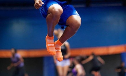 Jump Pass or Birthday Party at Sky Zone Edmond (Up to 31% Off)
