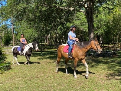 Up to 50% Off on Horse Back Riding - Training at Middleton Stables LLC