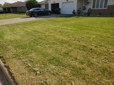 Up to 20% Off on Lawn Mowing Service at Green Lawn Care