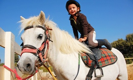 Private One-Hour Pony-Riding Session for Up to Four at Wish Upon a Pony