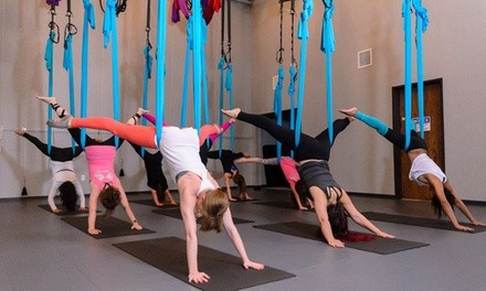 Up to 61% Off on Fitness Studio at Altitude Fitness Highland Village