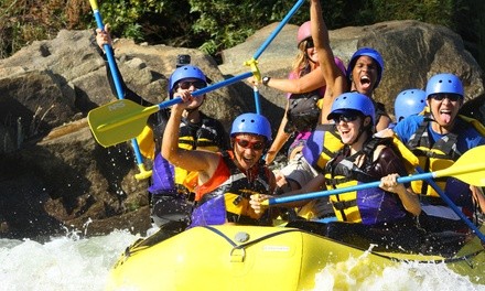 Half- or Full-Day Rafting Trip from Action Whitewater Adventures (Up to 51% Off). Eight Options Available.