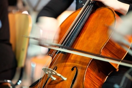 Up to 76% Off on Musical Instrument Course at Potomac Music