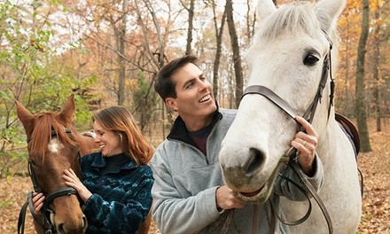 Two or Four 60-Minute Horseback-Riding Lessons at Amethyst Performance Horses (Up to 46% Off)