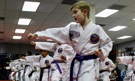 $29 for Four Weeks of Martial Arts Classes with Uniform at Visionary Martial Arts ($150 Value)