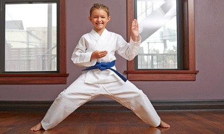 $111.75 for One Month of Taekwondo Classes at Ahn Taekwondo ($149 Value)