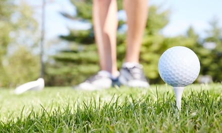 9-Hole Round of Golf for One or Two including Cart Rental at Birmingham Forest Golf Club (Up to 30% Off)