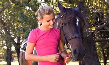 Two 45-Minute Private Horseback-Riding Lessons for One or Two at Luton Training Center (Up to 62% Off)