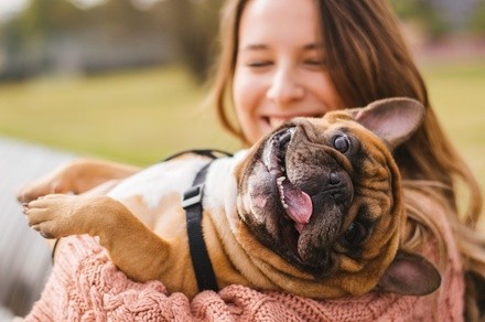 Up to 54% Off on Healthcare - Pet (Retail) at Pets First Animal Hospital