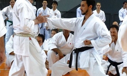 $80 for $159 Worth of Products — Japan Karate Association of the Hamptons