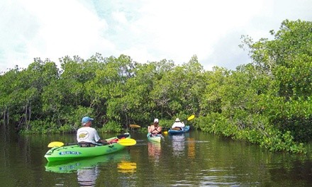 Half-Day Self-Guided Kayak Rental for One, Two, or Four from A1A Beach Rentals (Up to 49% Off)