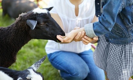 Up to 31% Off on Zoo - Petting at Beaucoop Farm