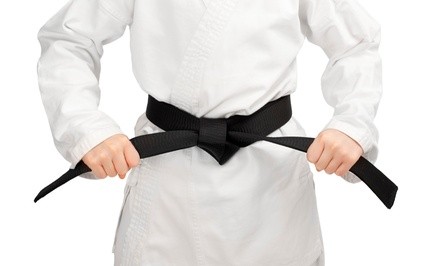 Up to 65% Off on Martial Arts / Karate / MMA - Activities at Evans Ata Blackbelt Academy