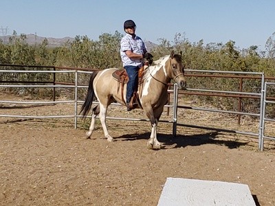 Up to 35% Off on Horse Back Riding - Recreational at Colors of the Desert Horse Ranch