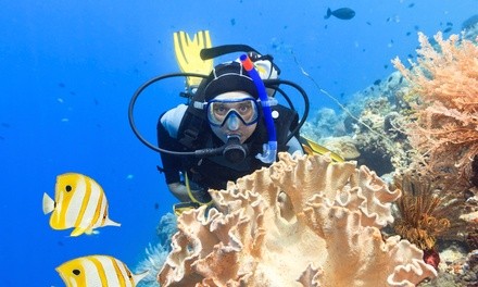 Up to 83% Off on SCUBA (Activity / Experience) at San Jose Scuba