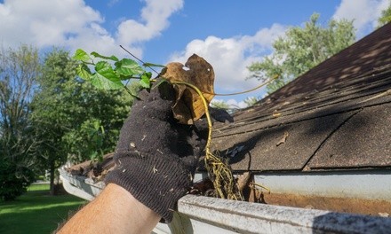 Up to 49% Off on Gutter Cleaning at Nit pickey perfect home services