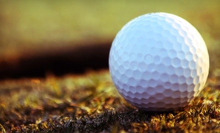 1.5- or 3-Hour Golf Class Focusing on Three Clubs at Stan Moore Golf Academy (Up to 69% Off)