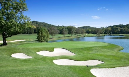 $49 for Champions Circle VIP Golf Pass at Blue Sky Golf ($499 Value)