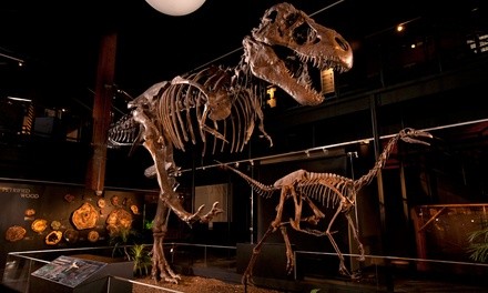 General Admission for 1, 2, 4, or 6 at Houston Museum of Natural Science at Sugar Land (Up to 42% Off)  