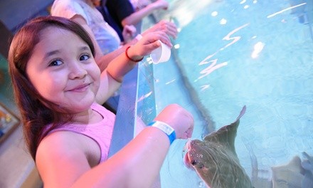 Up to 45% Off on Aquarium Visit at SeaQuest Interactive Aquarium - Woodbridge, NJ