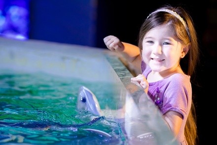 Up to 45% Off on Aquarium Visit at Seaquest Interactive Aquarium - Lynchburg, VA