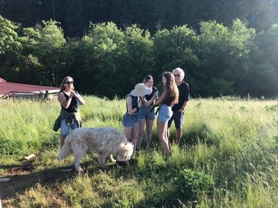 Up to 62% Off on Farm Tour at Hidden Lake Ranch