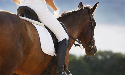 One or Two Private Horseback-Riding Lessons at Equidream School of Horsemanship (Up to 45% Off)