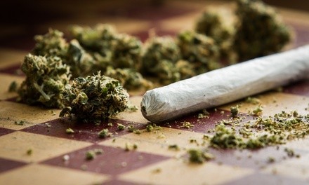 $149 for Consultation for Florida Medical Marijuana Card at Cannabis Doctorx ($300 Value)