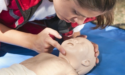 Up to 49% Off on Online CPR / First Aid Certification Course at Wu Xing Do Martial Arts & Fitness