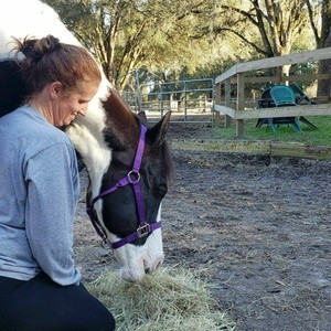 Up to 36% Off on Horse Back Riding - Recreational at Middleton Stables LLC