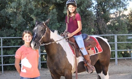 $48 for One 60-Minute Horseback-Riding Lesson for One at Providence Heart Ranch ($65 Value)