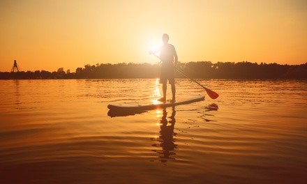 Up to 37% Off on Paddleboarding - Recreational at Paddle Hudson