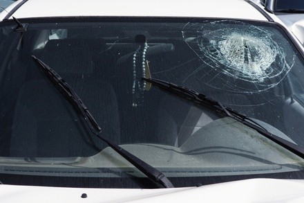 Windshield Replacement with Lifetime Warranty at Reyes Auto Glass (Up to 90% Off)