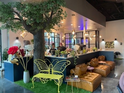 Up to 33% Off on Coffee / Tea Supplies  at Lady and the Mug 