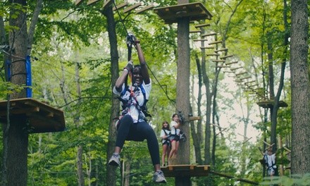 All-Day Adventure-Park Visit for One or Two at Boundless Adventures (Up to 45% Off)