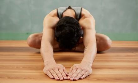 Up to 50% Off on Online Yoga / Meditation Course at Ancient Yoga Journey, LLC