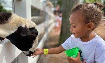 Day on the Farm for One or Four at Hunt Club Farm (Up to 25% Off). Three Options Available.