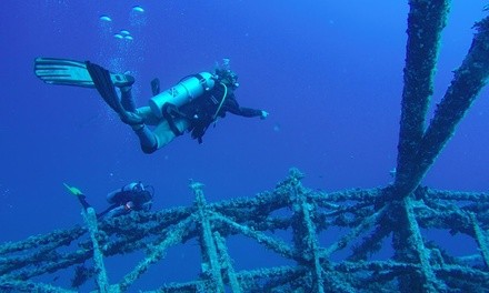 Scuba Certification for One or Two at Aquatic Explorers Society (Up to 51% Off). Four Options Available.